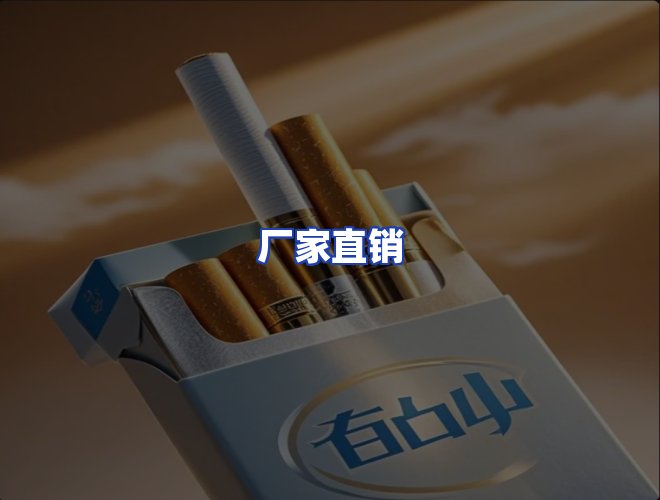 专业团队